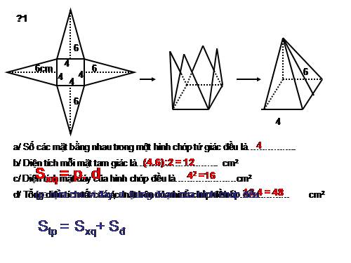 Chương IV. §8. Diện tích xung quanh của hình chóp đều