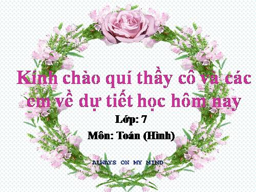 Chương III. §6. Trường hợp đồng dạng thứ hai