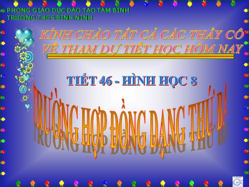 Chương III. §7. Trường hợp đồng dạng thứ ba