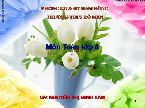 Chương IV. §1. Hình hộp chữ nhật