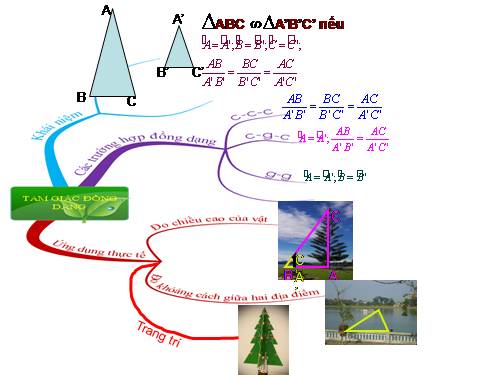 Chương III. §4. Khái niệm hai tam giác đồng dạng