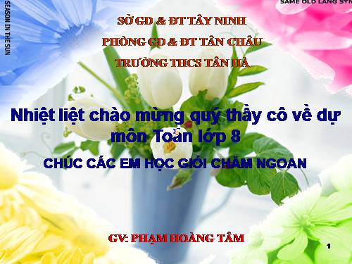 Chương IV. §1. Hình hộp chữ nhật