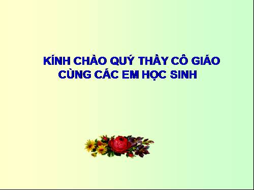 Chương IV. §4. Hình lăng trụ đứng