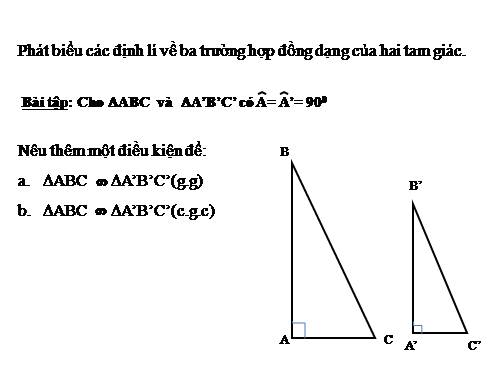 Chương III. §8. Các trường hợp đồng dạng của tam giác vuông