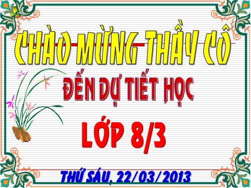 Ôn tập Chương III. Tam giác đồng dạng