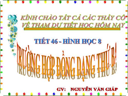 Chương III. §7. Trường hợp đồng dạng thứ ba