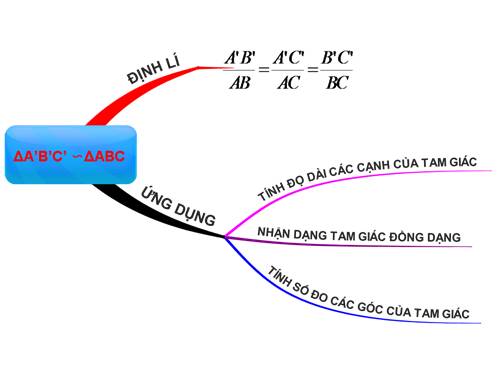 Chương III. §5. Trường hợp đồng dạng thứ nhất