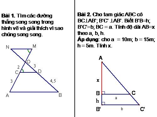 Các bài Luyện tập