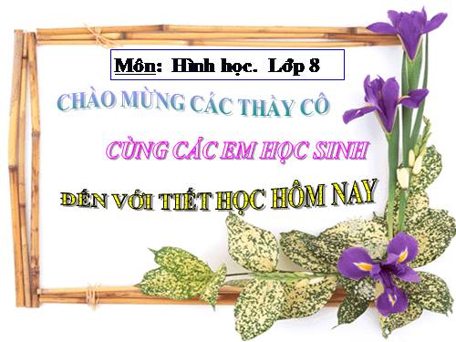 Ôn tập Chương II. Đa giác. Diện tích đa giác