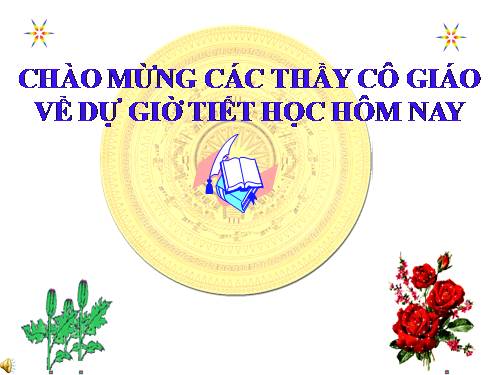 Chương II. §3. Diện tích tam giác