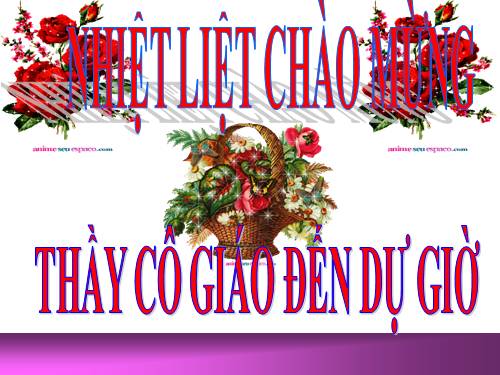 Các bài Luyện tập