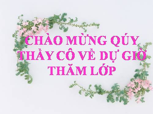 Chương III. §4. Khái niệm hai tam giác đồng dạng