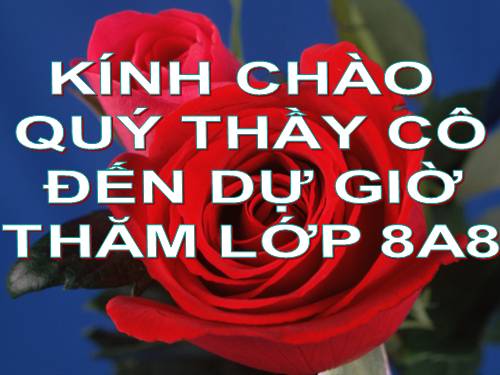 Chương II. §3. Diện tích tam giác