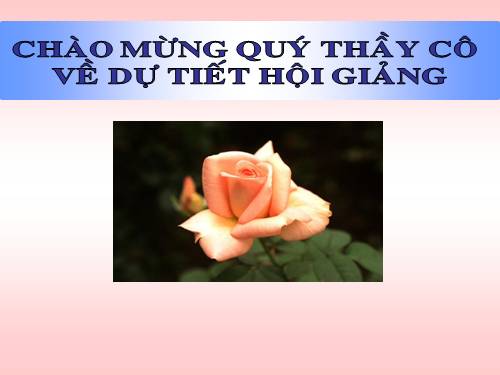 Chương III. §9. Ứng dụng thực tế của tam giác đồng dạng