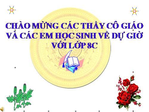 Chương II. §3. Diện tích tam giác