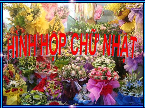 Chương IV. §1. Hình hộp chữ nhật