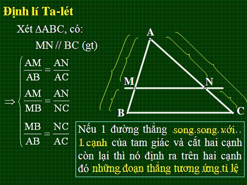 Các bài Luyện tập