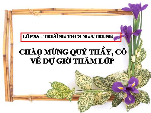 Chương I. §9. Hình chữ nhật