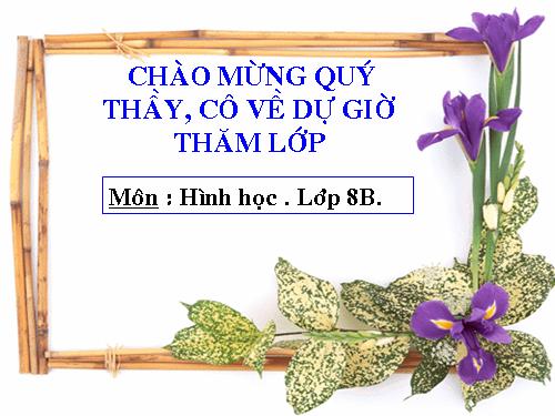 Chương I. §9. Hình chữ nhật