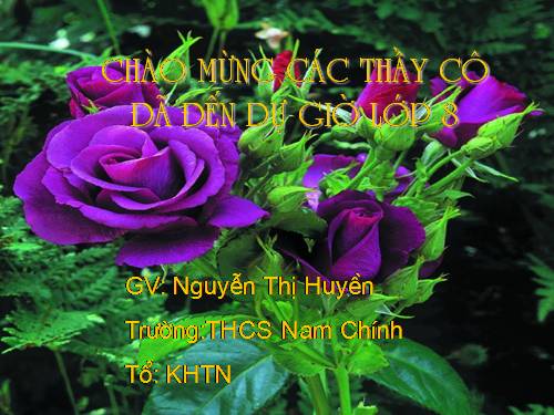 Chương I. §12. Hình vuông