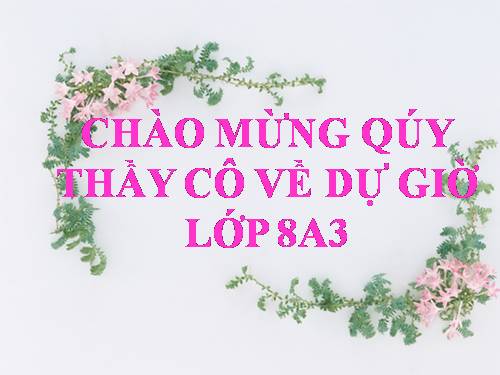 Chương III. §4. Khái niệm hai tam giác đồng dạng