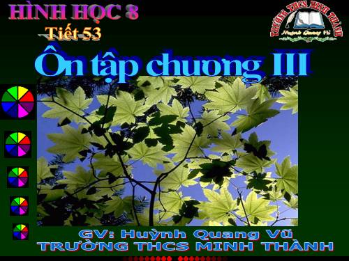 Ôn tập Chương III. Tam giác đồng dạng