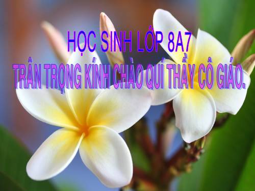 Chương III. §8. Các trường hợp đồng dạng của tam giác vuông