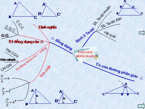 Ôn tập Chương III. Tam giác đồng dạng