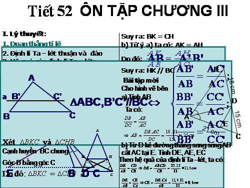 Ôn tập Chương III. Tam giác đồng dạng