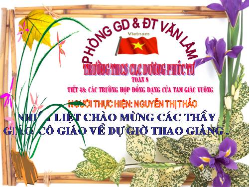 Chương III. §8. Các trường hợp đồng dạng của tam giác vuông