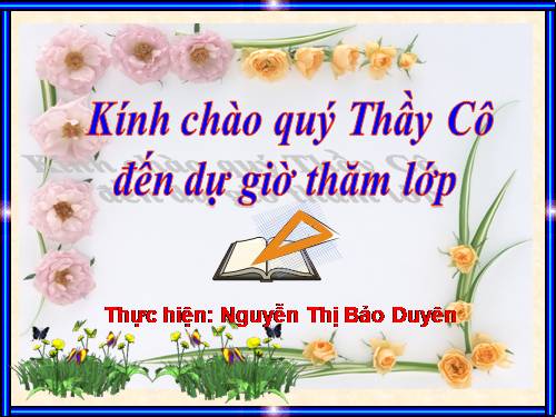 Chương III. §8. Các trường hợp đồng dạng của tam giác vuông