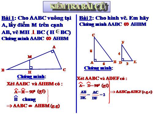 Chương III. §8. Các trường hợp đồng dạng của tam giác vuông