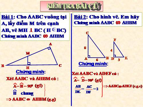 Chương III. §8. Các trường hợp đồng dạng của tam giác vuông