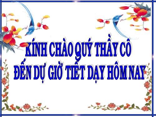 Chương III. §4. Khái niệm hai tam giác đồng dạng