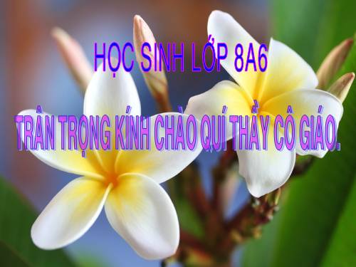 Chương III. §4. Khái niệm hai tam giác đồng dạng