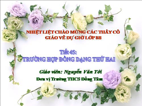 Chương III. §6. Trường hợp đồng dạng thứ hai