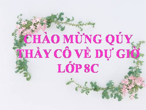 Chương III. §4. Khái niệm hai tam giác đồng dạng