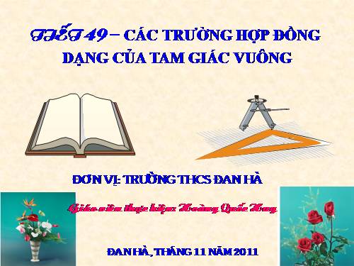 Chương III. §8. Các trường hợp đồng dạng của tam giác vuông