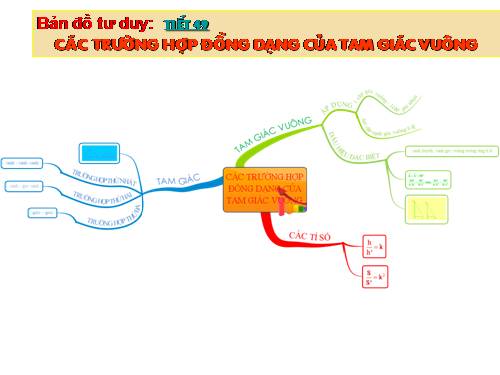 Chương III. §8. Các trường hợp đồng dạng của tam giác vuông