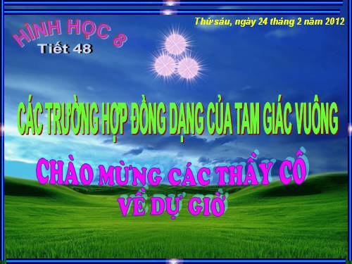 Chương III. §8. Các trường hợp đồng dạng của tam giác vuông