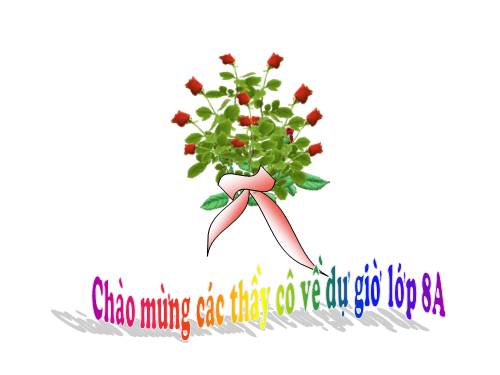 Chương II. §2. Diện tích hình chữ nhật