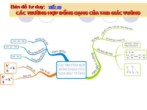 Chương III. §8. Các trường hợp đồng dạng của tam giác vuông