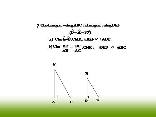 Chương III. §8. Các trường hợp đồng dạng của tam giác vuông