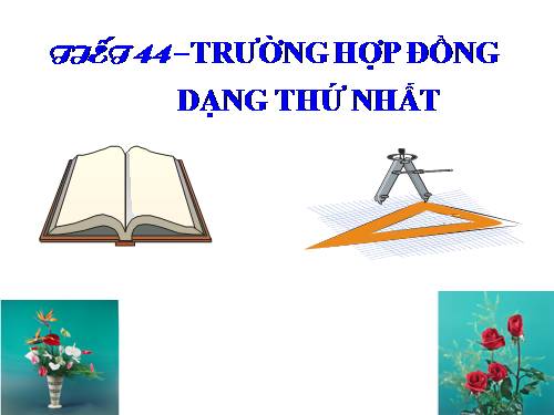 Chương III. §5. Trường hợp đồng dạng thứ nhất