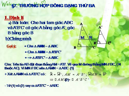 Chương III. §7. Trường hợp đồng dạng thứ ba