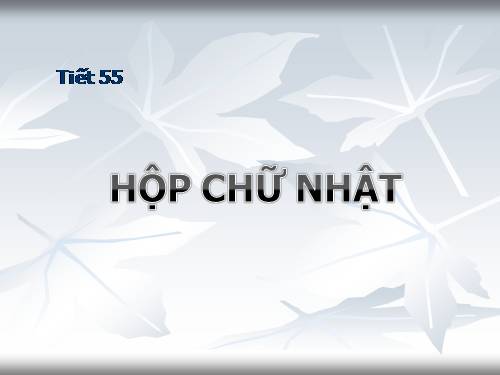 Chương IV. §1. Hình hộp chữ nhật