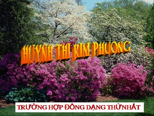 Chương III. §5. Trường hợp đồng dạng thứ nhất