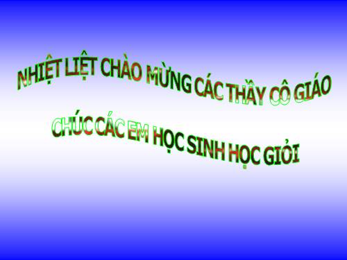 Chương III. §7. Trường hợp đồng dạng thứ ba