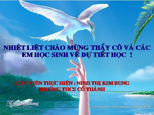 Chương III. §4. Khái niệm hai tam giác đồng dạng