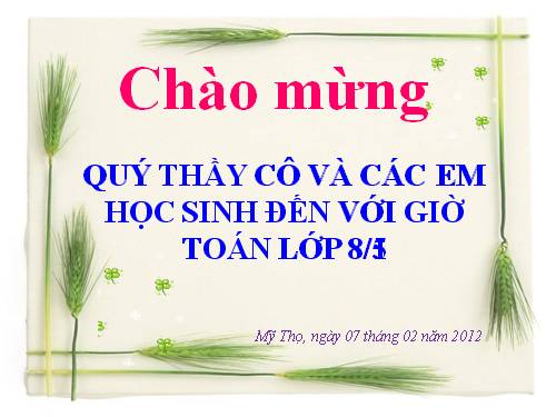 Chương II. §6. Diện tích đa giác